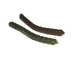 Zoom Centipede