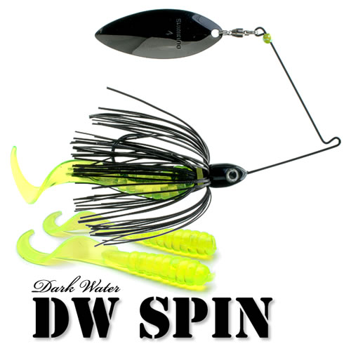 DW Spin