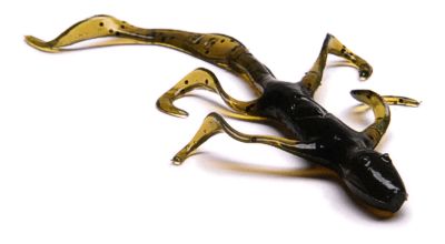 Slider Lizard 