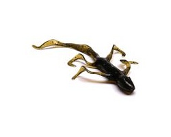 Slider Lizard 